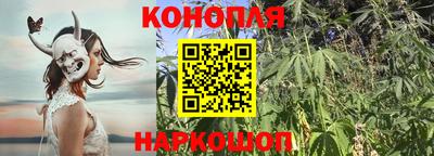 шишки Моздок