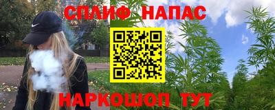 шишки Моздок