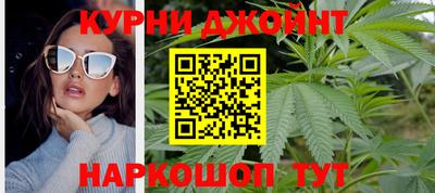 mdpv Можга