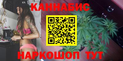 mdpv Можга