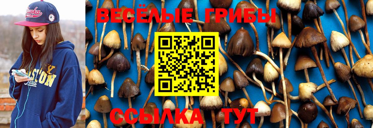 Меф  Вход с VPN  КОКАИН  ГАШ  Ставрополь  Меф МЯУ МЯУ кристаллы  Купить наркотики цена  ГАШИШ  Канабис 